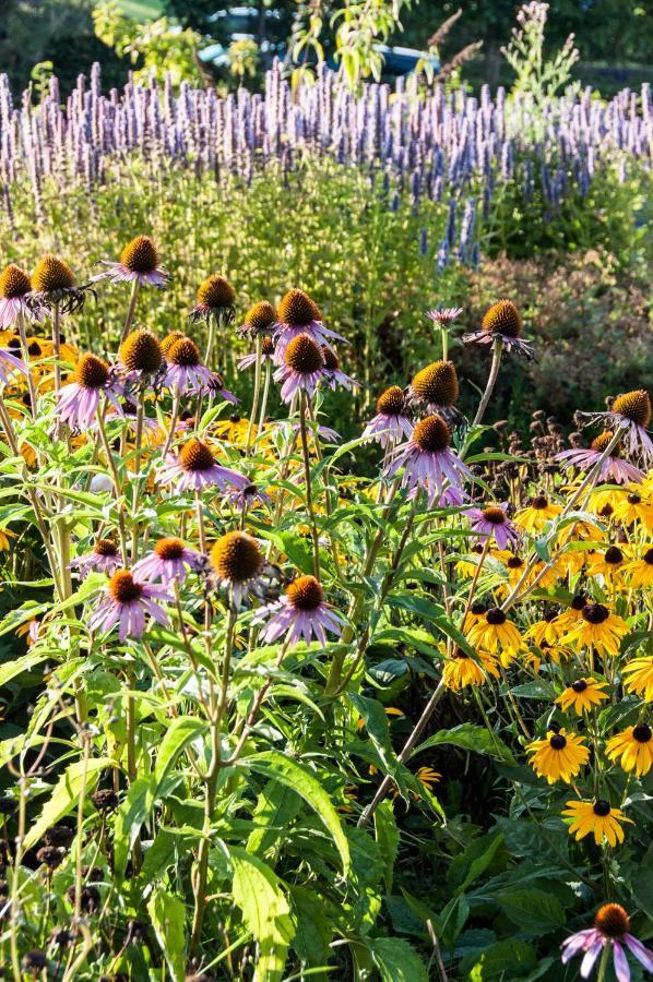 Puurteuven B&B Tussen Kunst En Natuur Voeren Bagian luar foto